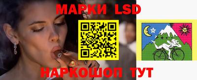прущие крисы Камышлов