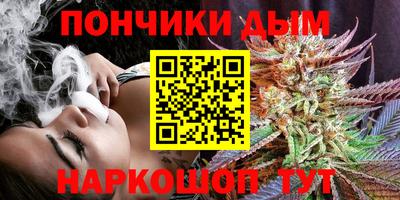 Альфа ПВП Кандалакша