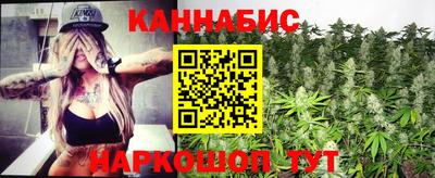 прущие крисы Камышлов