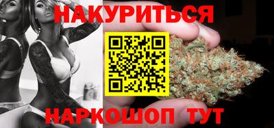 прущие крисы Камышлов