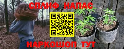 Альфа ПВП Кандалакша