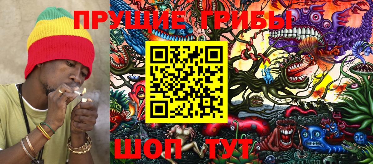 Галлюциногенные грибы Psilocybine cubensis Крымск