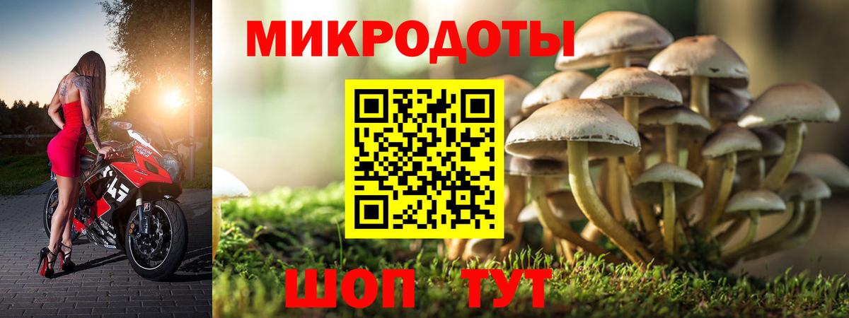Крымск  Псилоцибиновые грибы мицелий  Вход с VPN 